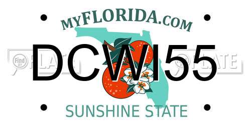 DCWI55 Florida License Plate