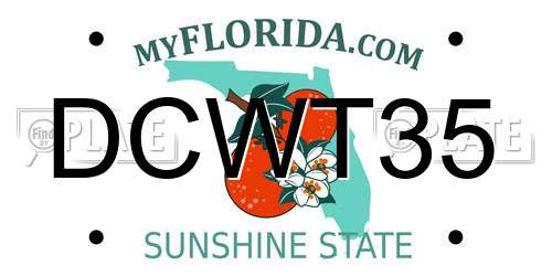 DCWT35 Florida License Plate