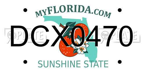DCX0470 Florida License Plate