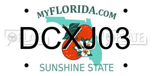 DCXJ03 Florida License Plate