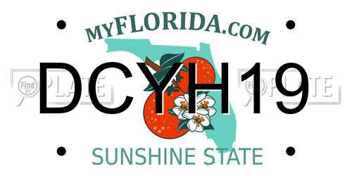 DCYH19 Florida License Plate
