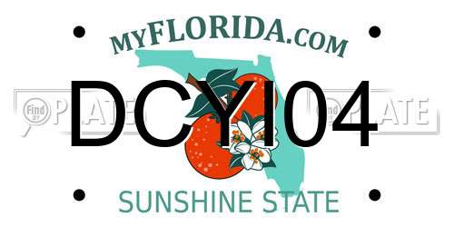 DCYI04 Florida License Plate