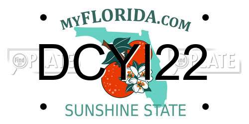 DCYI22 Florida License Plate