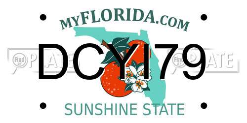 DCYI79 Florida License Plate