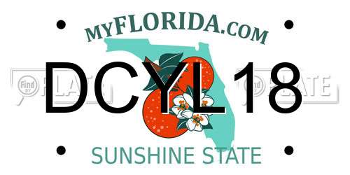 DCYL18 Florida License Plate