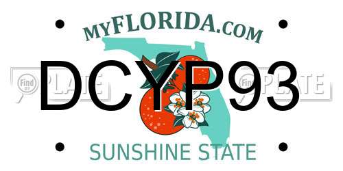 DCYP93 Florida License Plate