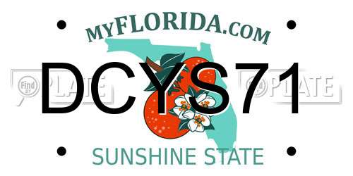 DCYS71 Florida License Plate