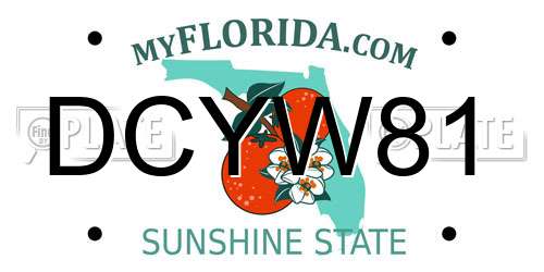 DCYW81 Florida License Plate