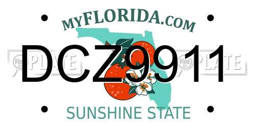 DCZ9911 Florida License Plate