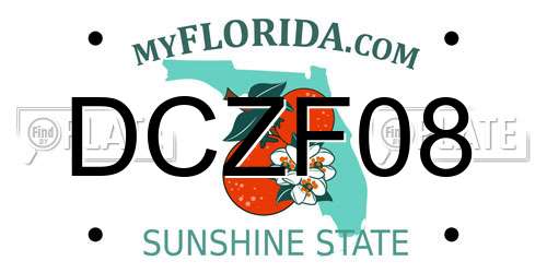 DCZF08 Florida License Plate