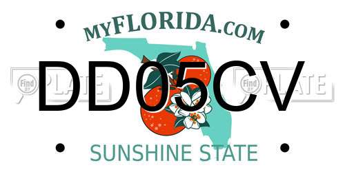 DD05CV Florida License Plate