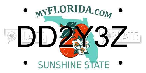 DD2Y3Z Florida License Plate