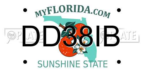 DD38IB Florida License Plate
