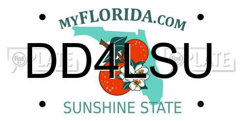 DD4LSU Florida License Plate