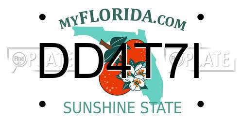 DD4T7I Florida License Plate
