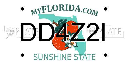 DD4Z2I Florida License Plate