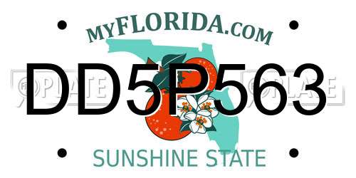 DD5P563 Florida License Plate