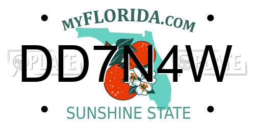 DD7N4W Florida License Plate
