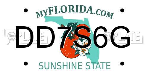 DD7S6G Florida License Plate