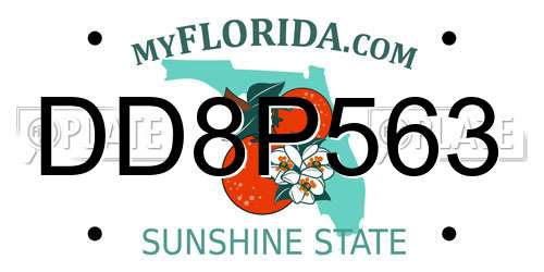 DD8P563 Florida License Plate