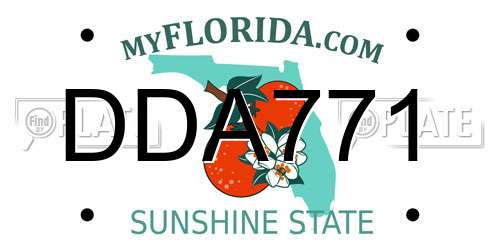 DDA771 Florida License Plate