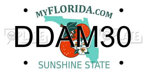 DDAM30 Florida License Plate