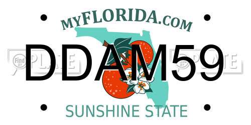 DDAM59 Florida License Plate