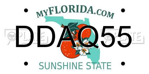 DDAQ55 Florida License Plate