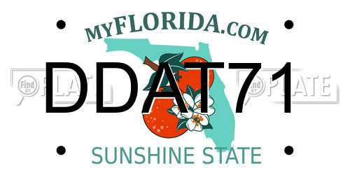 DDAT71 Florida License Plate
