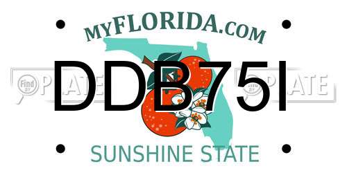 DDB75I Florida License Plate