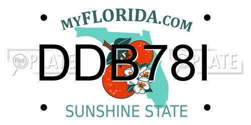 DDB78I Florida License Plate