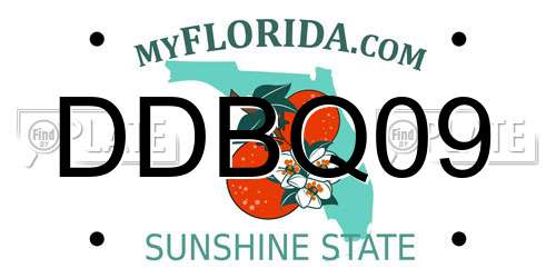 DDBQ09 Florida License Plate