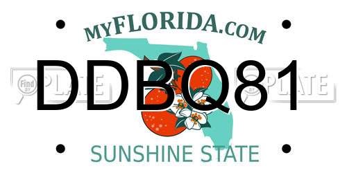 DDBQ81 Florida License Plate