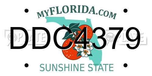 DDC4379 Florida License Plate