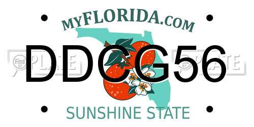 DDCG56 Florida License Plate
