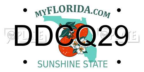 DDCQ29 Florida License Plate