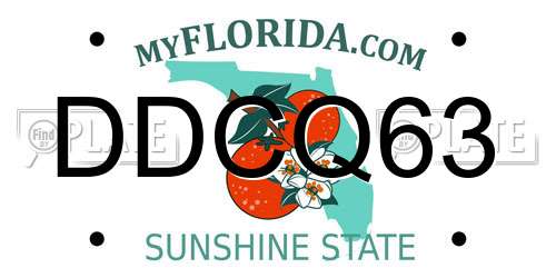 DDCQ63 Florida License Plate