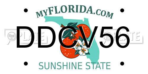 DDCV56 Florida License Plate