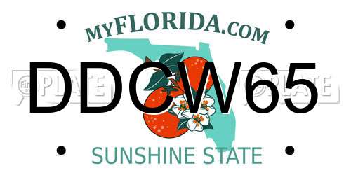 DDCW65 Florida License Plate