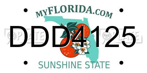 DDD4125 Florida License Plate