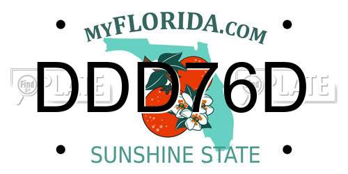 DDD76D Florida License Plate