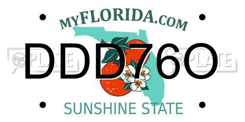 DDD76O Florida License Plate