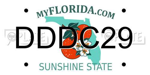 DDDC29 Florida License Plate
