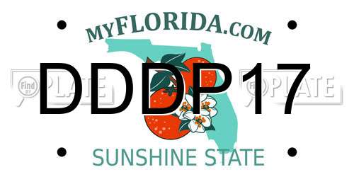 DDDP17 Florida License Plate
