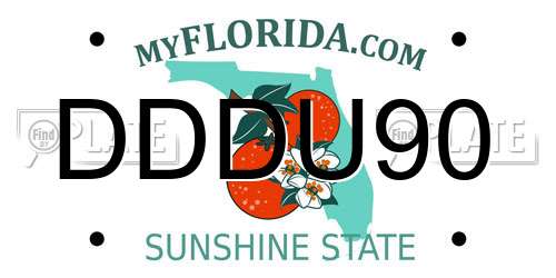 DDDU90 Florida License Plate