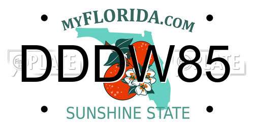 DDDW85 Florida License Plate