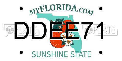 DDEE71 Florida License Plate