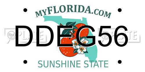 DDEG56 Florida License Plate