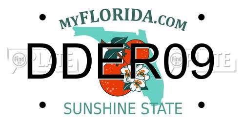 DDER09 Florida License Plate