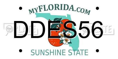 DDES56 Florida License Plate